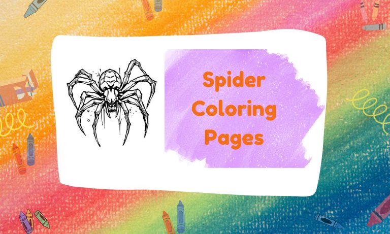 Spider Coloring Pages